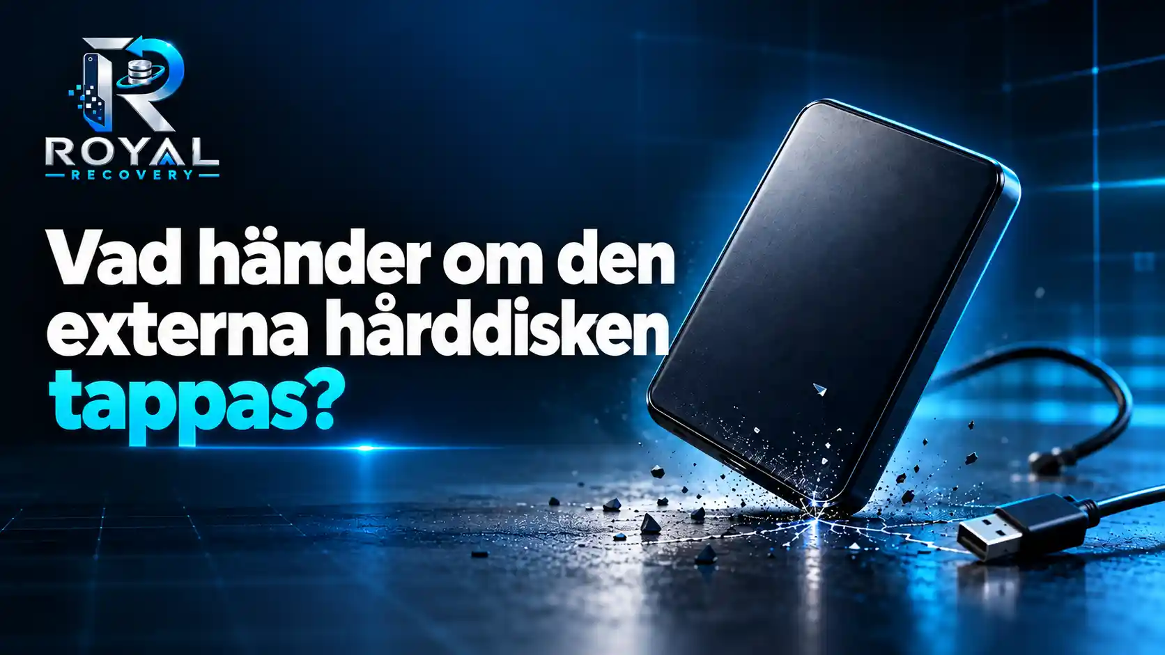 Vad gör man om den externa hårddisken har tappats?